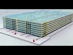 Gelişmiş Stok Yönetimi için Yüksek Teknoloji Üretimi ASRS Palet Raf Sistemi